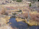 DSC01350.jpg (41158 bytes)