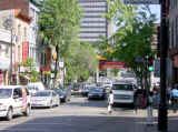 chinatown.jpg (48658 bytes)