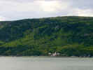 wald_am_fluss.jpg (33218 bytes)