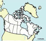 map9.gif (52666 bytes)