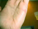 hand2.jpg (28435 bytes)